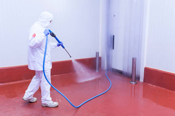 Best Spring Cleaning  in North Druid Hills, GA